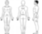 image5.gif